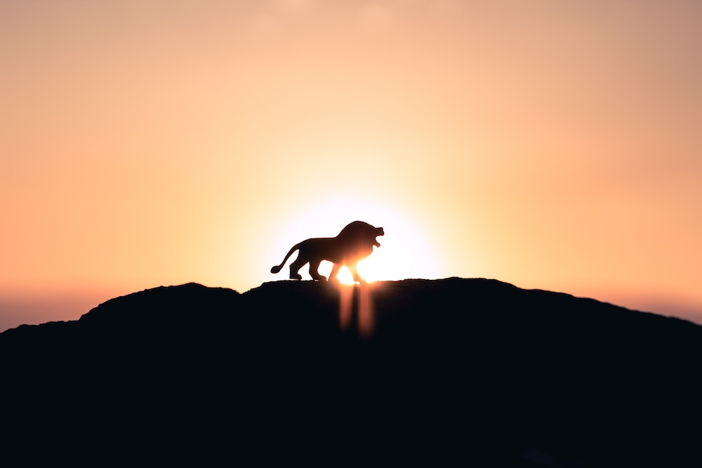Astrology 101: What Can Your Zodiac Sign Teach You? Zodiac sign with dates; zodiac sign by month; zodiac sign personalities | Happy As Annie (Leo, the Lion, silhouette of lion on top of hill with sun shining behind it)
