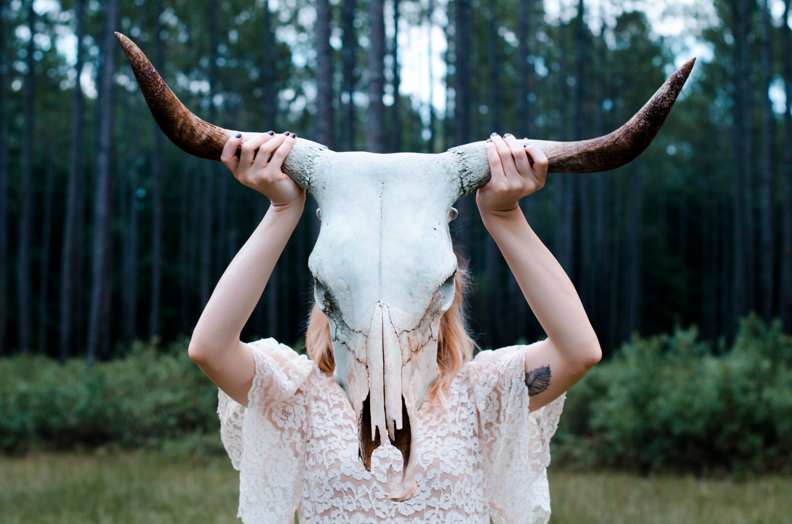 Astrology 101: What Can Your Zodiac Sign Teach You? Zodiac sign with dates; zodiac sign by month; zodiac sign personalities | Happy As Annie (Taurus, the Bull - Woman in lace dress holding up bull skull with antlers in front of her face in forest)