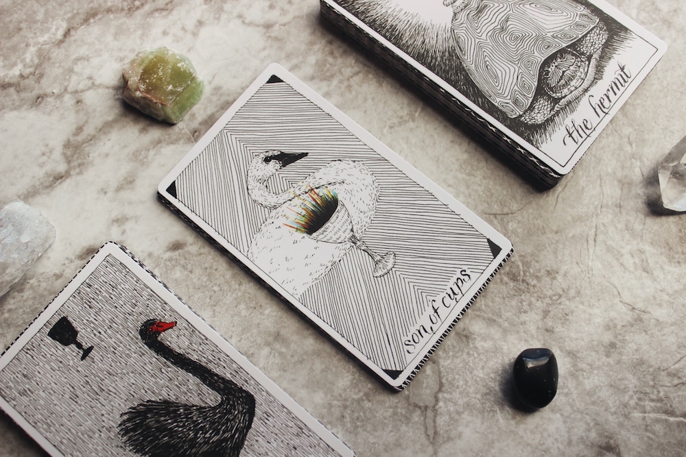 Wild Unknown Tarot Cards