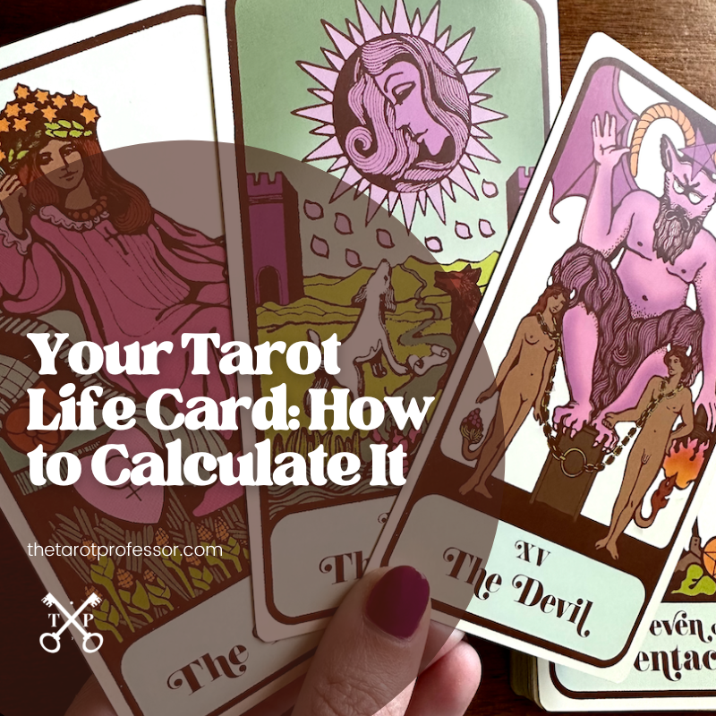 Woman's hand holding the Empress, the Moon, and the Devil tarot cards from the Moon Baby Tarot Deck. How do I find my life tarot card? Tarot life card calculator with life card meanings