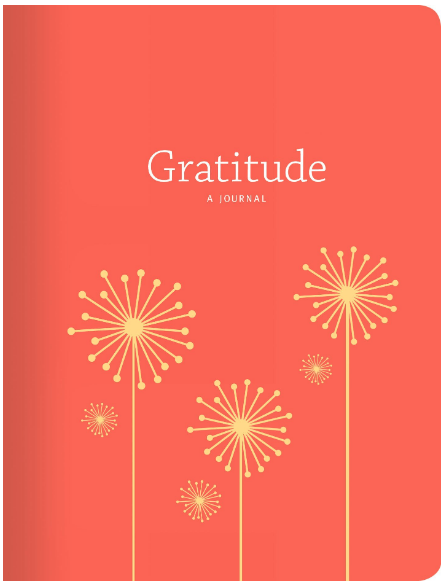 Gratitude Journal with Prompts | Gratitude: A Journal | Happy As Annie's 8 Best Gratitude Journals with Prompts