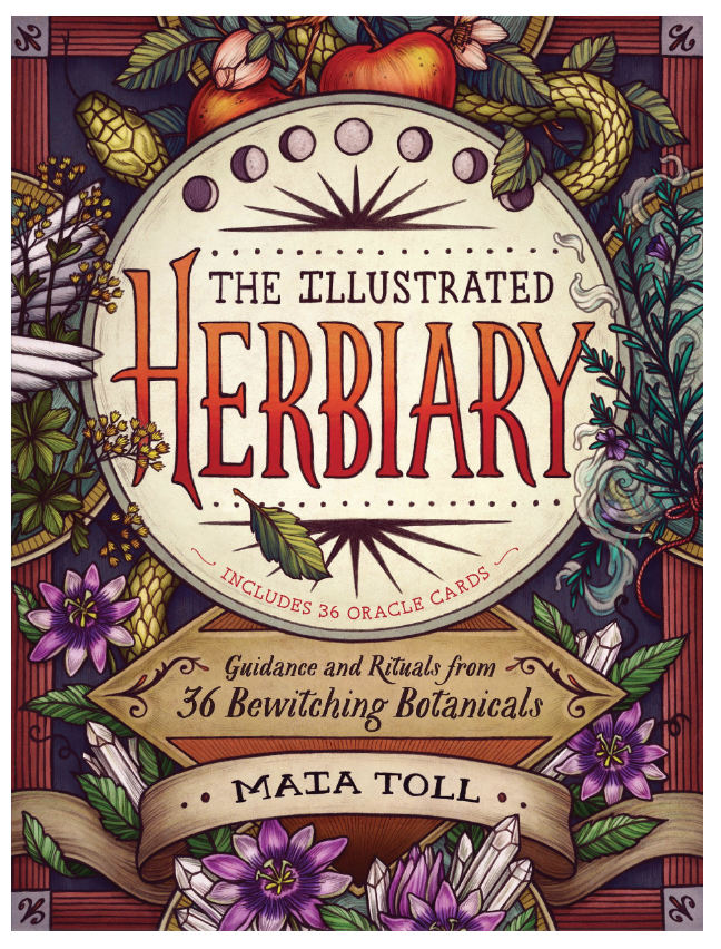 The Illustrated Herbiary by Maia Toll on The Ultimate Witchy Gift Guide by Happy As Annie