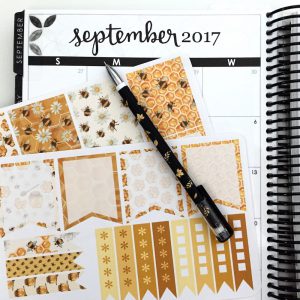 The theme for the Planner Girl Provisions September box is "A New Leaf." Catch a glimpse into the rich seasonal colors and inspiring planner goodies you'll get in the box.