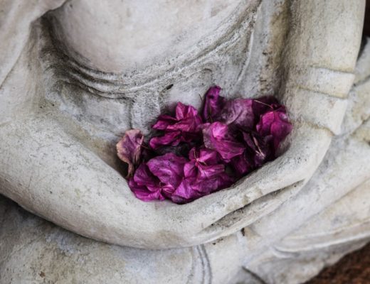 White buddha statue with purple flowers placed in its lap