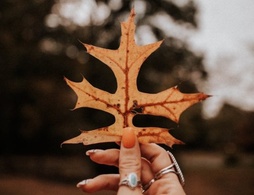 Hand with orange nail polish and many rings holding up orange autumn leaf
